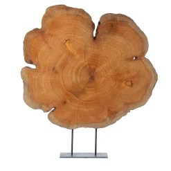 Omnibus Design Scultura di cipresso millenario> Sculture Decorative