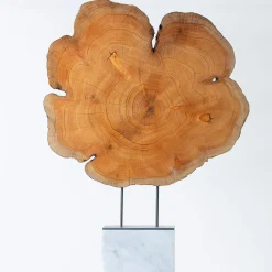 Omnibus Design Scultura di cipresso millenario><noscript><img width=