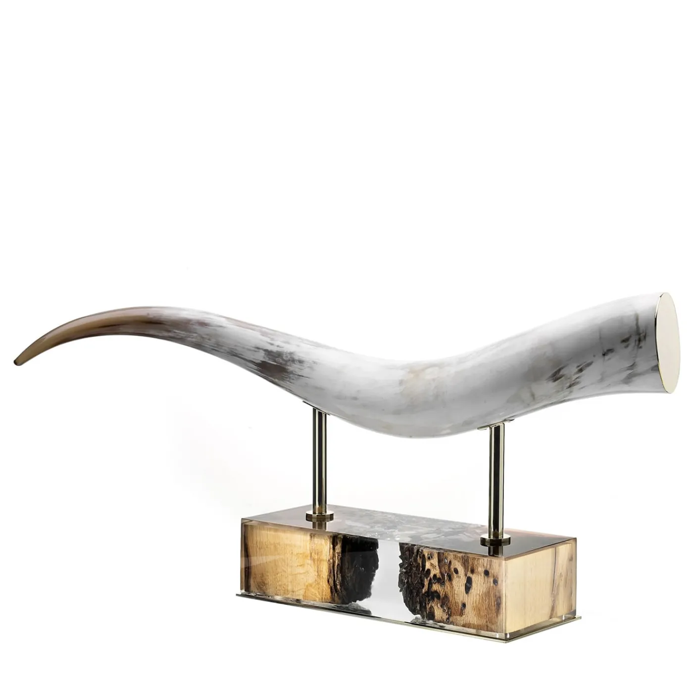 Arcahorn Scultura di corno di Laguna> Sculture Decorative