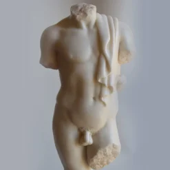Todini Sculture Scultura di torso maschile drappeggiato> Sculture Decorative