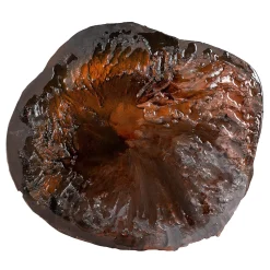 ROU Materiaal Scultura Terre Savana> Sculture Da Parete