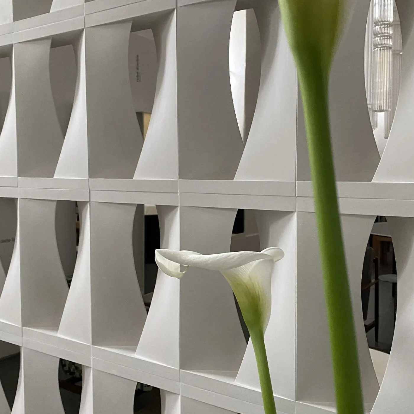 mg12 by Monica Geronimi Set di 15 Blocchi Brasilia in Gesso Bianco> Piastrelle E Pavimenti