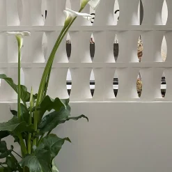 mg12 by Monica Geronimi Set di 15 Blocchi Brasilia in Gesso Bianco><noscript><img width=