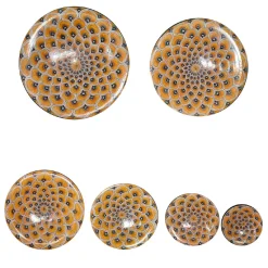 La Bottega del Vasaio Set di 6 piatti decorativi con piume di pavone giallo> Piatti Decorativi