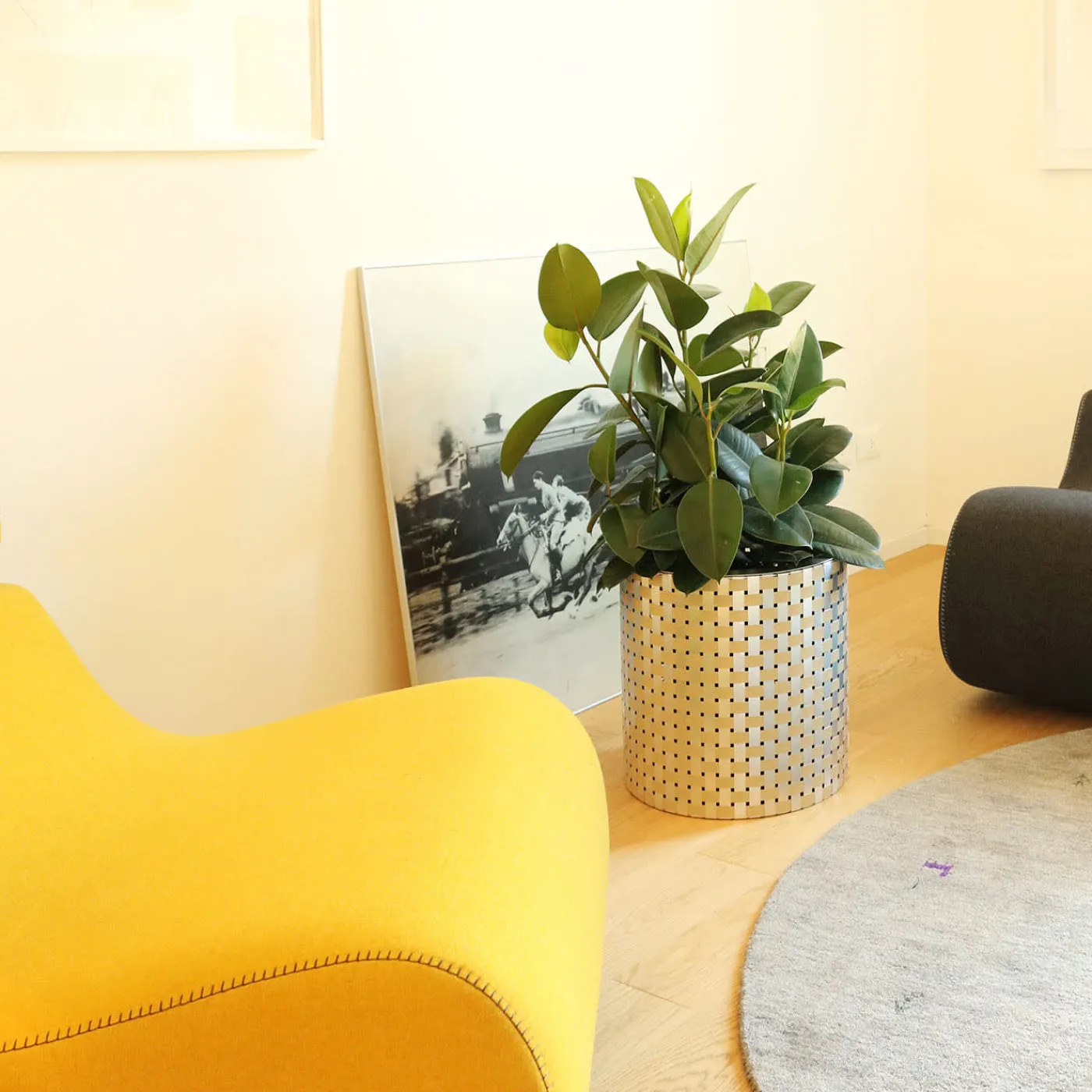 Splot Design Splot4flowers Cachepot ottico oro> Cachepot E Portavasi