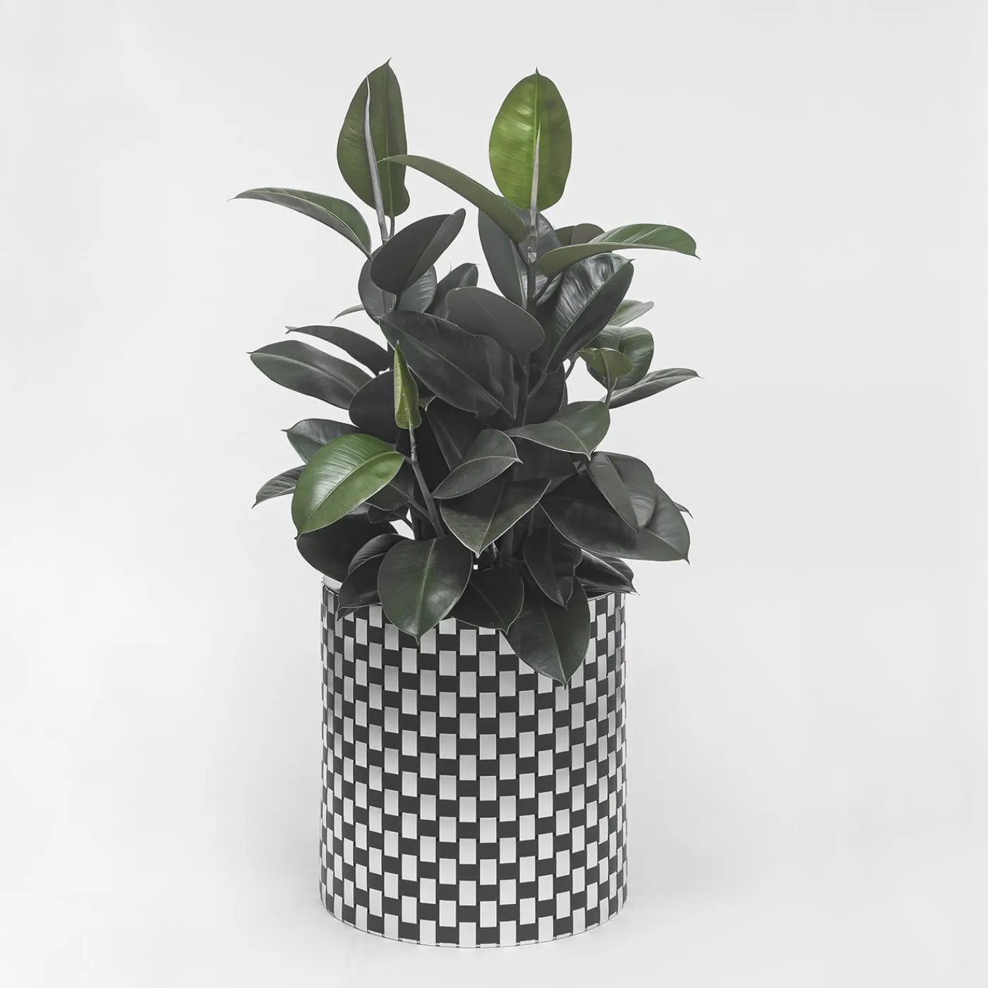 Splot Design Splot4flowers Cachepot ottico nero> Cachepot E Portavasi