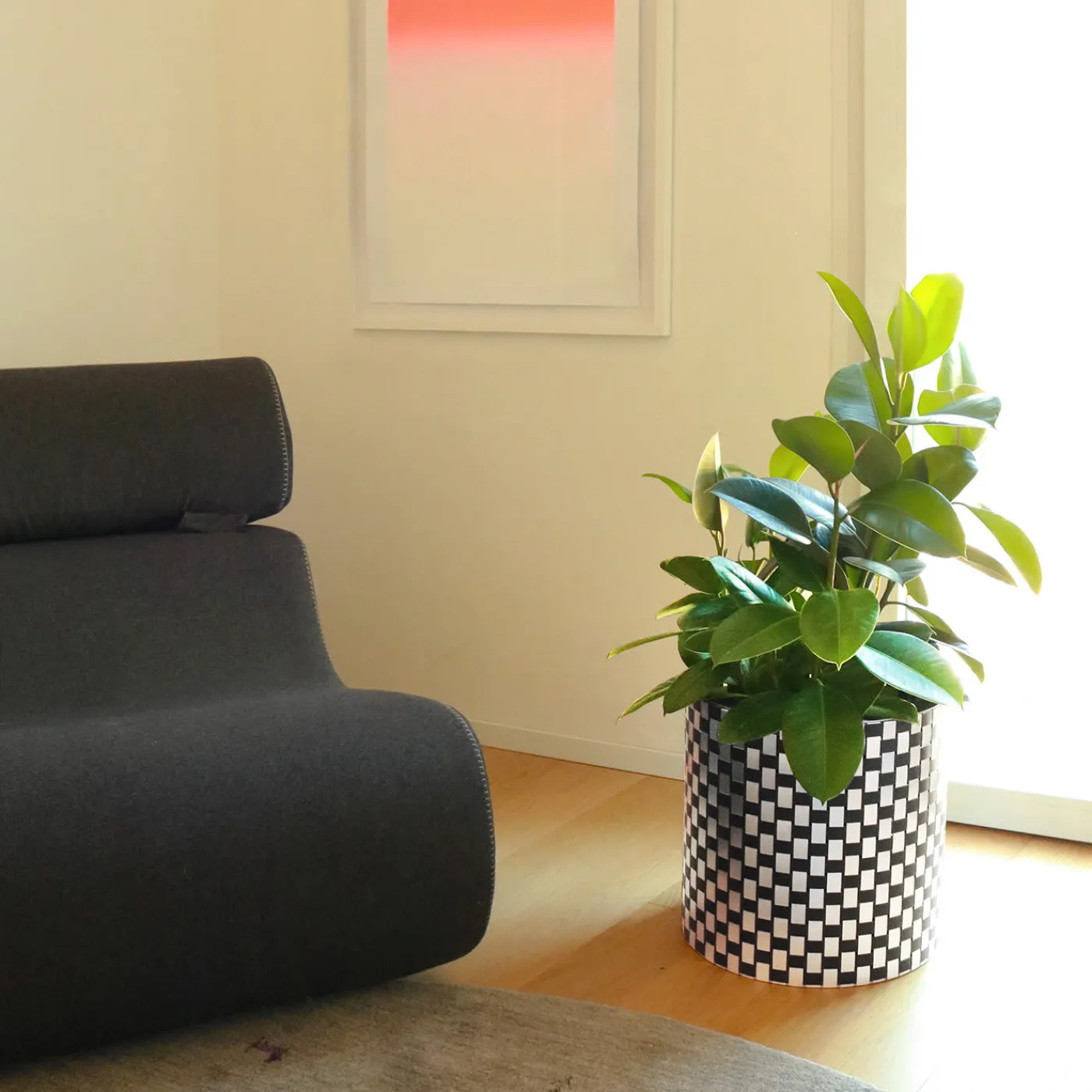 Splot Design Splot4flowers Cachepot ottico nero> Cachepot E Portavasi