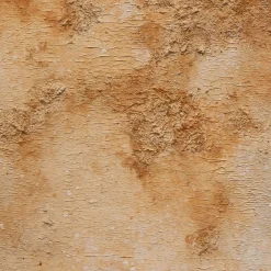 Fabscarte Stardust Sunset Carta da parati dipinta a mano in Collaborazione Con Martyn Thompson> Carte Da Parati