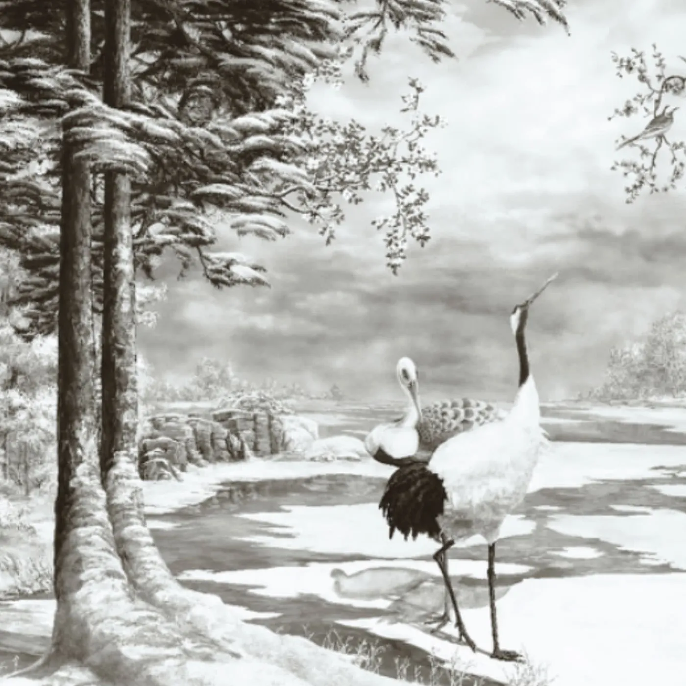 KOHRO Tessuto murale in cotone con stagni irlandesi grigio e blu chiaro> Carte Da Parati