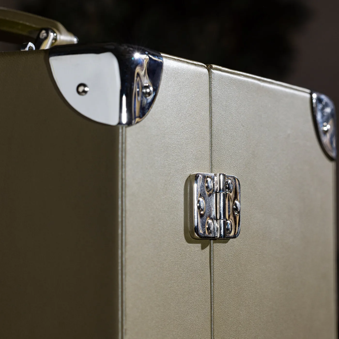 laErre Trunks Trunk per Orologi Geneve in Pelle Verde> Portagioie