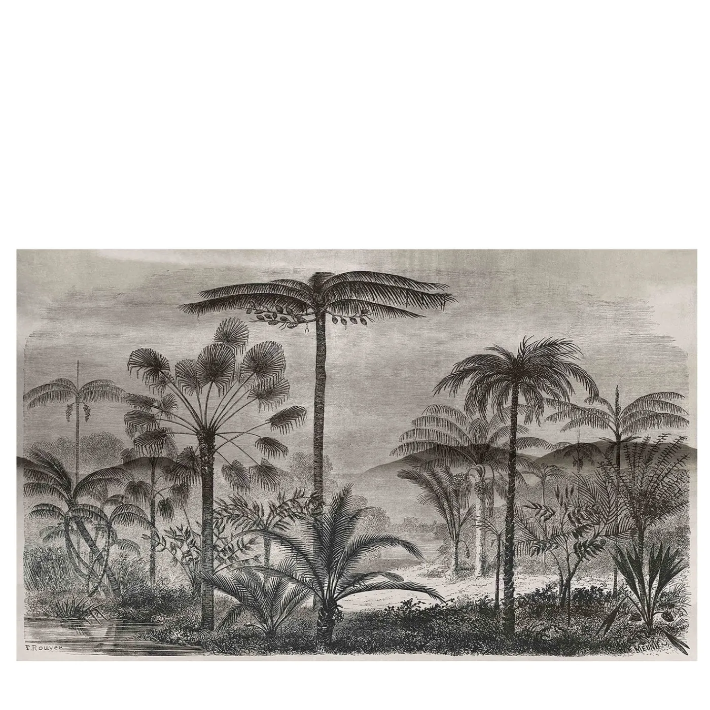 Now Edizioni Ucayali Carta da parati> Carte Da Parati