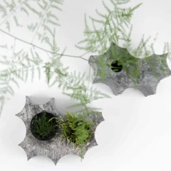 Pietre Trovanti Variazioni Vaseholder Gray><noscript><img width=