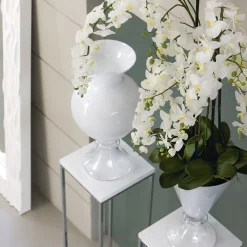 VGnewtrend Vaso Ann White><noscript><img width=