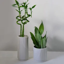 Lineasette Vaso Aura grande> Cachepot E Portavasi