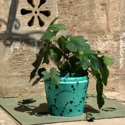 Carola fra i Trulli Vaso Cachepot in ceramica verde e acqua> Cachepot E Portavasi