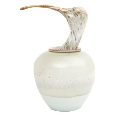 Amaaro Vaso Canopo ibis> Vasi Con Coperchio