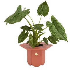 Scapin Collezioni Vaso Ci> Cachepot E Portavasi