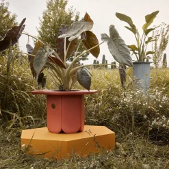 Scapin Collezioni Vaso Ci><noscript><img width=