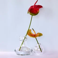 Studio Bojola Vaso di cristallo Erice><noscript><img width=