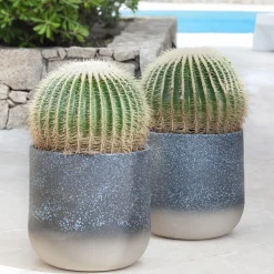 Pot à Porter Vaso di Porto Cervo><noscript><img width=