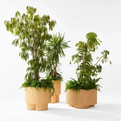 Cimento Vaso Erasmo #2 di Patricia Urquiola> Cachepot E Portavasi