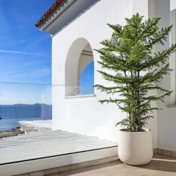 Pot à Porter Vaso grigio Algarve> Cachepot E Portavasi