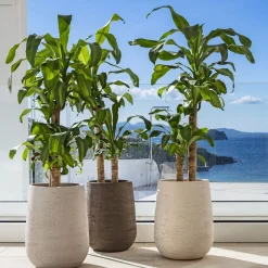 Pot à Porter Vaso grigio Panarea><noscript><img width=