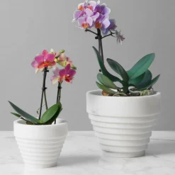 MMairo Vaso Guggenheim White Michelangelo di Michele Chiossi><noscript><img width=