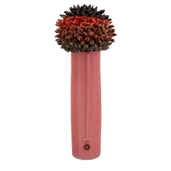 Patrizia Italiano Vaso Il Riccio> Vasi Figurativi