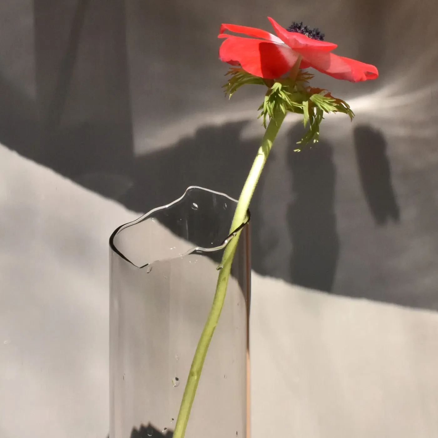 Coki Vaso in vetro nero e pietra Catharsis #1> Vasi Da Fiori