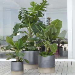 Pot à Porter Vaso Palm Beach><noscript><img width=