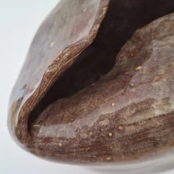 Cristina Cavallari Vaso Petalo 2 in Ceramica Marrone a Forma di Petalo> Vasi Decorativi