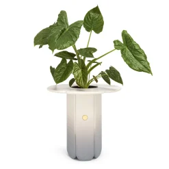 Scapin Collezioni Vaso Zeta><noscript><img width=