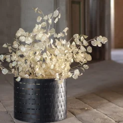 Splot Design Vitis Nero Abatellis Cachepot> Cachepot E Portavasi