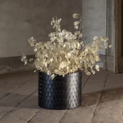 Splot Design Vitis Nero Abatellis Cachepot><noscript><img width=