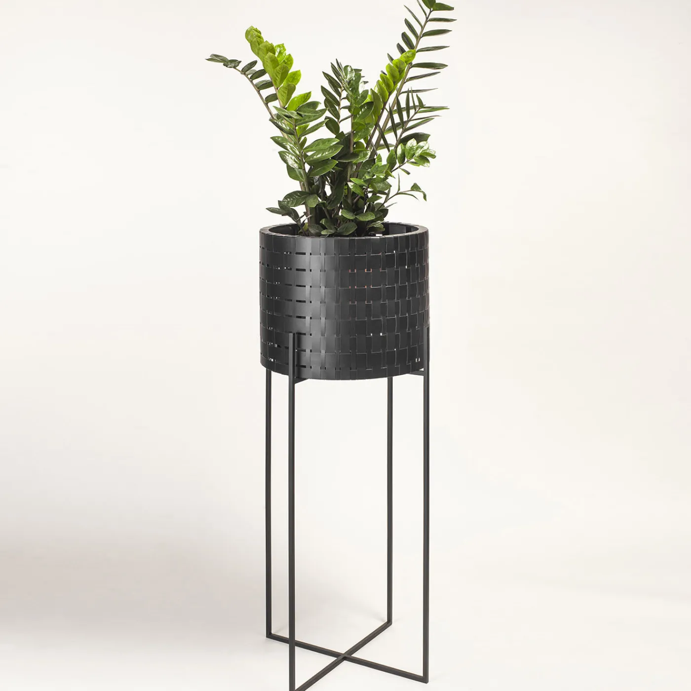 Splot Design Vitis Nexum Alto Nero Abatellis Cachepot> Cachepot E Portavasi