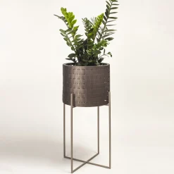 Splot Design Vitis Nexum Cachepot Mediceo Marrone Medio> Cachepot E Portavasi